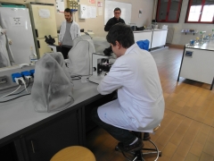 Laboratorio Microbiologia osservazione