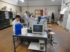 Laboratorio Microbiologia preparazione